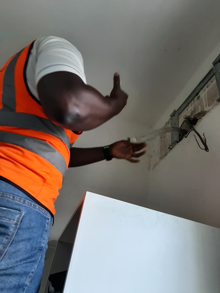 Home pest elimination service